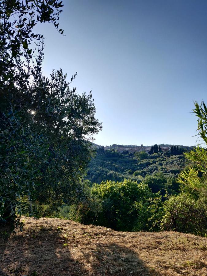 Il Rusticano Chianni Dış mekan fotoğraf