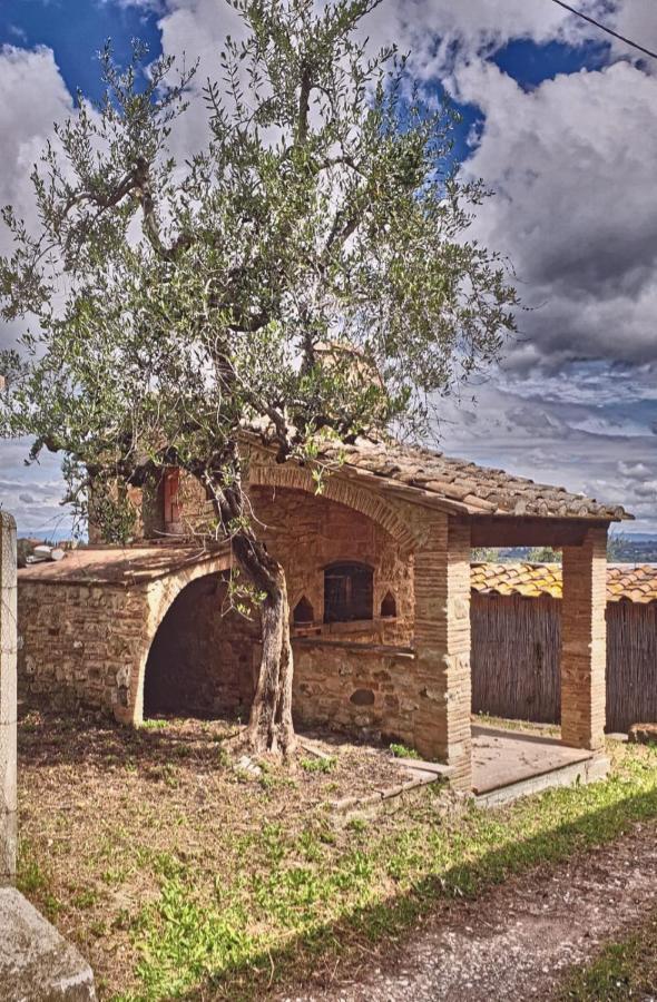Il Rusticano Chianni Dış mekan fotoğraf